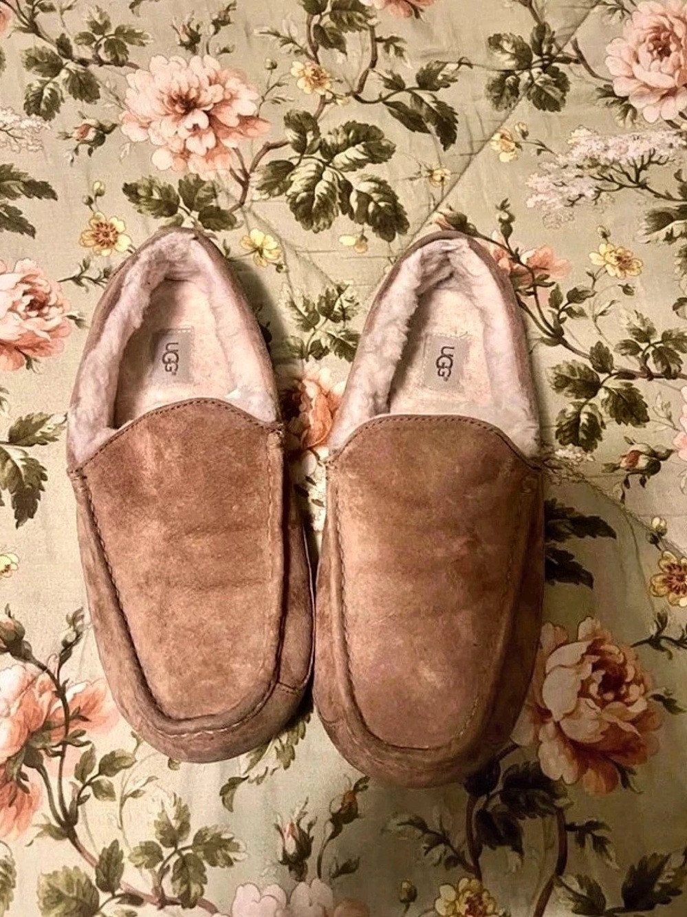 UGG Ascot Men’s Slipper Brown US 11